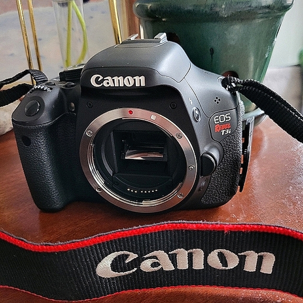 *SOLD* Canon EOS Rebel t3i 600 Digital SLR Camera Bundle - Picture 3 of 16